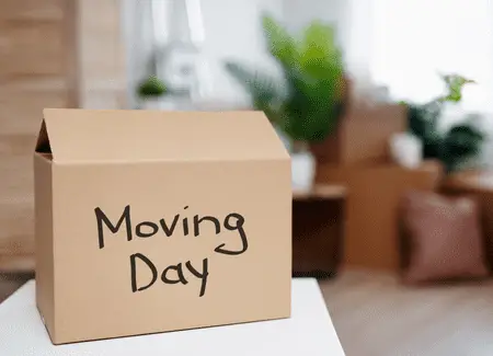 Moving storage tips (2023) 3 Moving Day